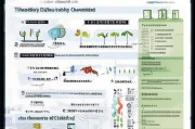 哈尔滨厕所补贴申请指南，流程、条件与注意事项全解析
