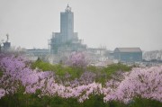 义乌银行外贸补贴申请全攻略，助力企业扬帆出海，政策红利精准直达