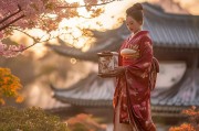 日本早鸟礼，轻松开启你的旅行新体验
