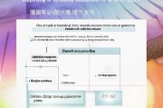 长春钢琴补贴申请全攻略，条件、流程、注意事项一文读懂