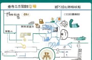 深圳宝安社保补贴申请全攻略，条件、流程、注意事项详解
