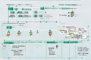 日本补贴网上申请全攻略，从资格确认到资金到账，一文读懂便捷流程