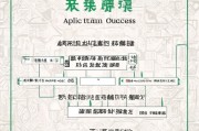 邯郸高龄补贴申请指南，条件、流程、材料全解析