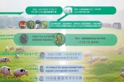 2024年养猪补贴申请全流程，从政策解读到资金到账，一文掌握关键步骤