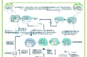 边民补贴申请全指南，条件、流程与注意事项，一文读懂
