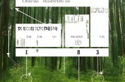 申请生态补贴撰写指南，从政策解读到材料准备的全流程解析