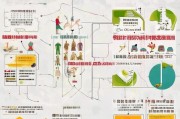 陕西省高龄补贴申请全流程指南，从条件到领取，一文读懂