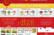 过年留连补贴申请指南，政策解读与操作流程